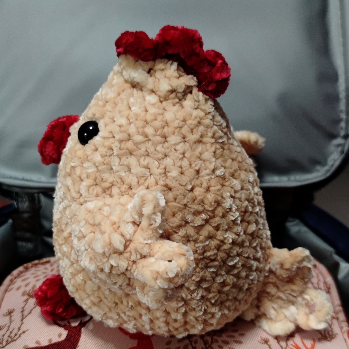 Cocca la Gallina