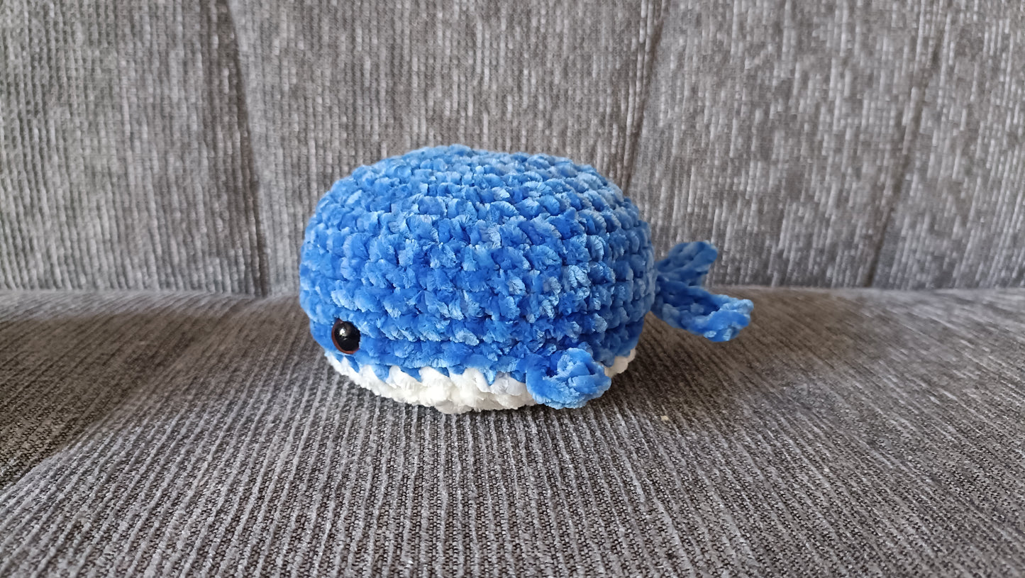 Tiny whale