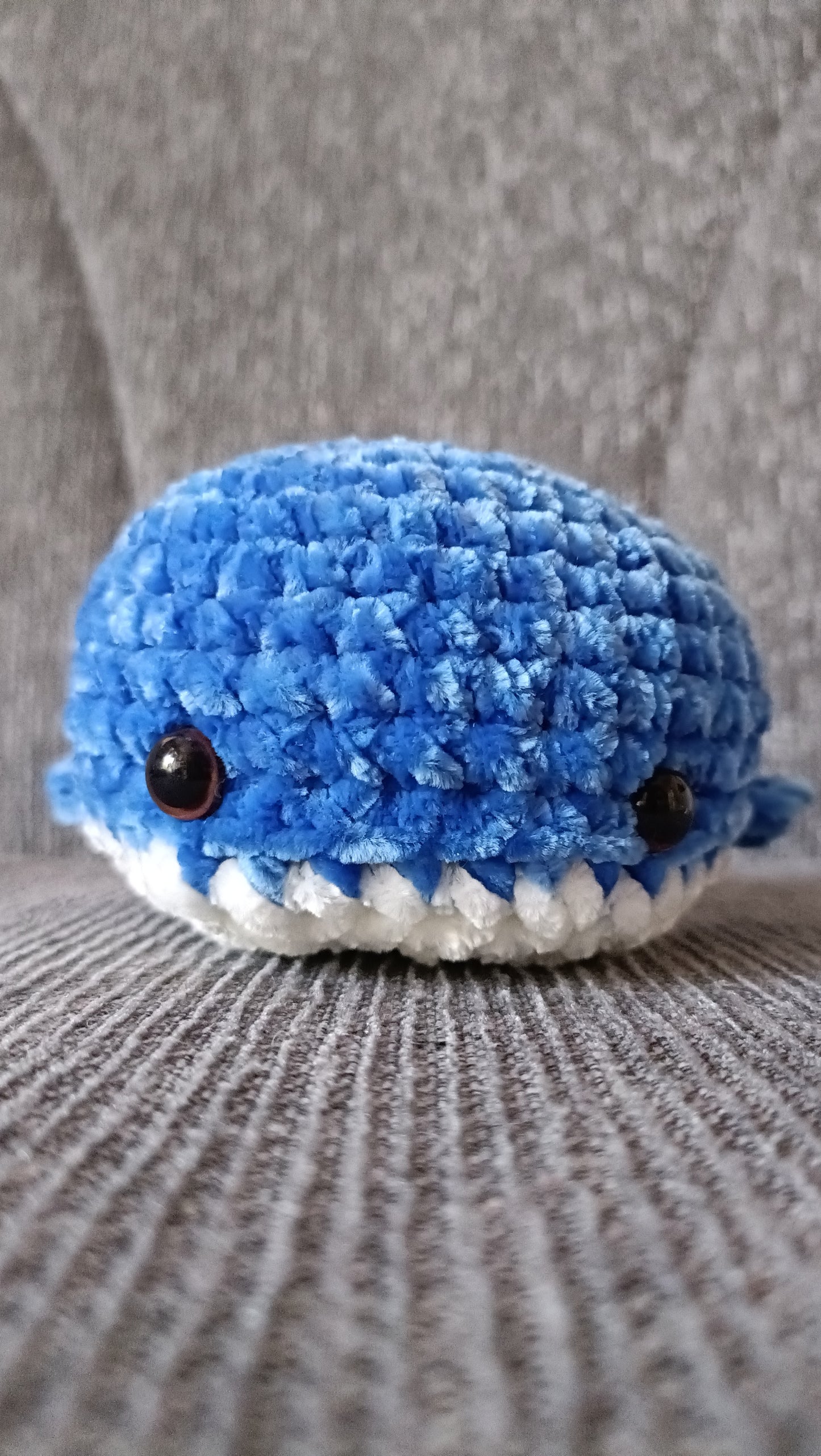 Tiny whale