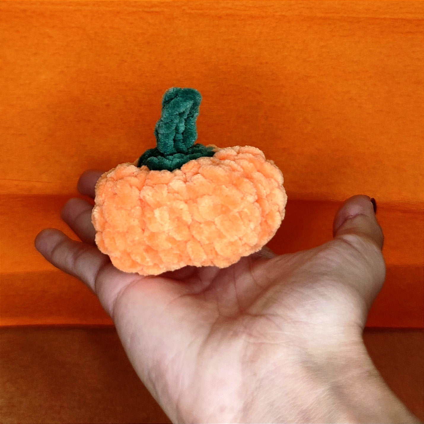 Mini Zucca
